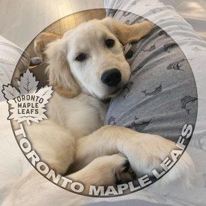 Meet your Posher, Shawn